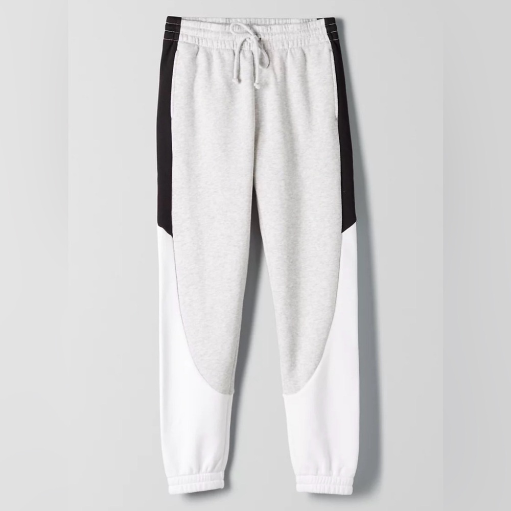 Aritzia Jogger Pants